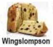 wingslompson